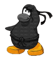 Club Penguin Ninja - безплатен png