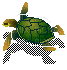 turtle anastasia - Free animated GIF
