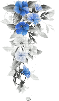 soave deco branch flowers animated black white - Zdarma animovaný GIF