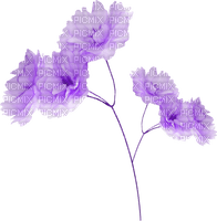 blume flowers - ilmainen png