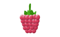 Raspberry - By StormGalaxy05 - png gratis