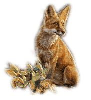 dolceluna fox - darmowe png