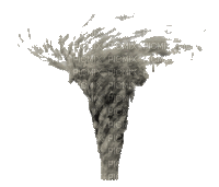 Tornado - 免费动画 GIF