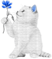 soave cat animals deco flowers white black blue - zadarmo png