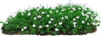 Flowers in flower bed - zdarma png