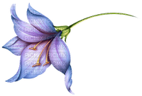 More flowers - zadarmo png
