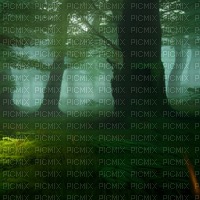 Green Green Forest - nemokama png