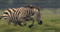 ANIMAL - Darmowy animowany GIF