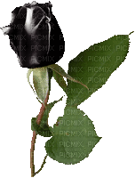 Gothic Blumen- Flowers-Fleurs - Ilmainen animoitu GIF