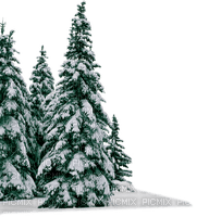 winter trees snow - фрее пнг
