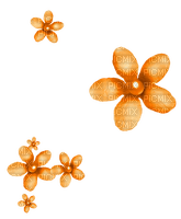 Pearl.Flowers.Orange - 無料png