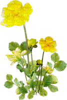 kikkapink yellow flower flowers - безплатен png