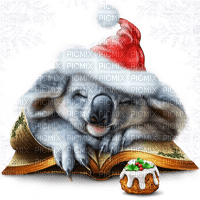 Y.A.M._Winter Christmas Koala - png gratis