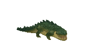 fat croc - Бесплатный анимированный гифка