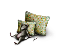 coussin.Cheyenne63 - png gratis