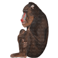 Ape - darmowe png