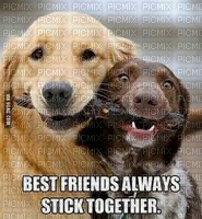 Best friends - png gratuito