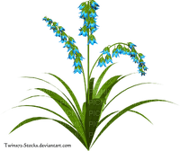 Planta con flores - PNG gratuit