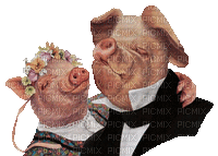 Kaz_Creations Animated  Pigs - GIF animé gratuit
