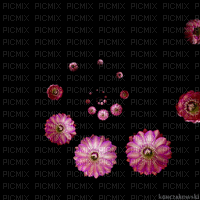 Background Flowers - GIF animado grátis