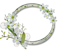 Flower Frame - Free PNG