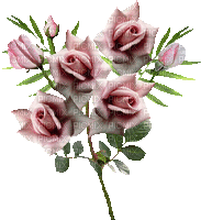 maj roses roses - GIF animado grátis