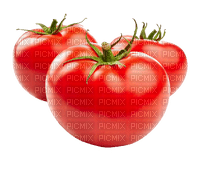 nbl-tomato - png gratuito