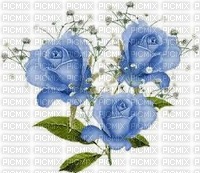 rose bleu - zadarmo png
