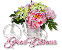 patymirabelle fleurs gros bisous - Free PNG
