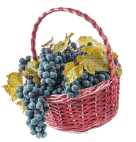 grapes   Bb2 - png gratis