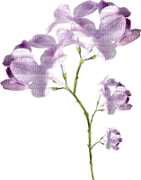 flowers-porple-minou52 - Free PNG