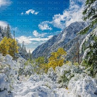 winter  background by nataliplus - darmowe png