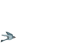 Bird Fly - Darmowy animowany GIF