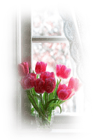 tulipanes - ücretsiz png