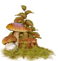 autumn deco mushroom kikkapink - Free PNG