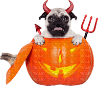 halloween pumpkin dog by nataliplus - gratis png