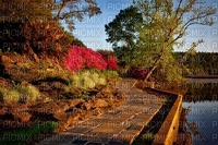 maisema landscape syksy autumn - besplatni png