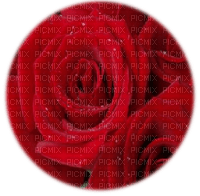 trandafir41 - kostenlos png
