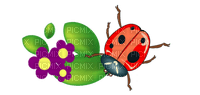 Kaz_Creations Ladybugs Ladybug - png ฟรี
