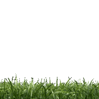 Трава - Ücretsiz animasyonlu GIF