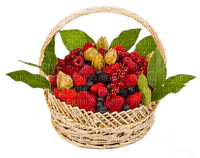fruta - фрее пнг