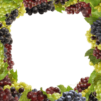 chantalmi cadre frame raisin fruit - PNG gratuit