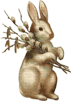 pascua  conejo flores dubravka4 - png gratis