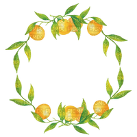 kikkapink tangerine fruit deco circle frame - gratis png