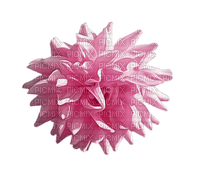 pink flower - δωρεάν png