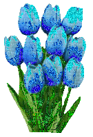 tulipe bleu - GIF animate gratis