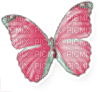 soave deco butterfly pink green - kostenlos png