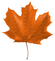 Kaz_Creations Autumn Fall Leaves Leafs - gratis png