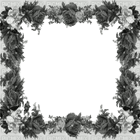 frame black white glitter animated - Animovaný GIF zadarmo