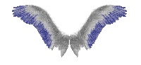 angyal szárny--tedd az angyal mögé - Безплатен анимиран GIF